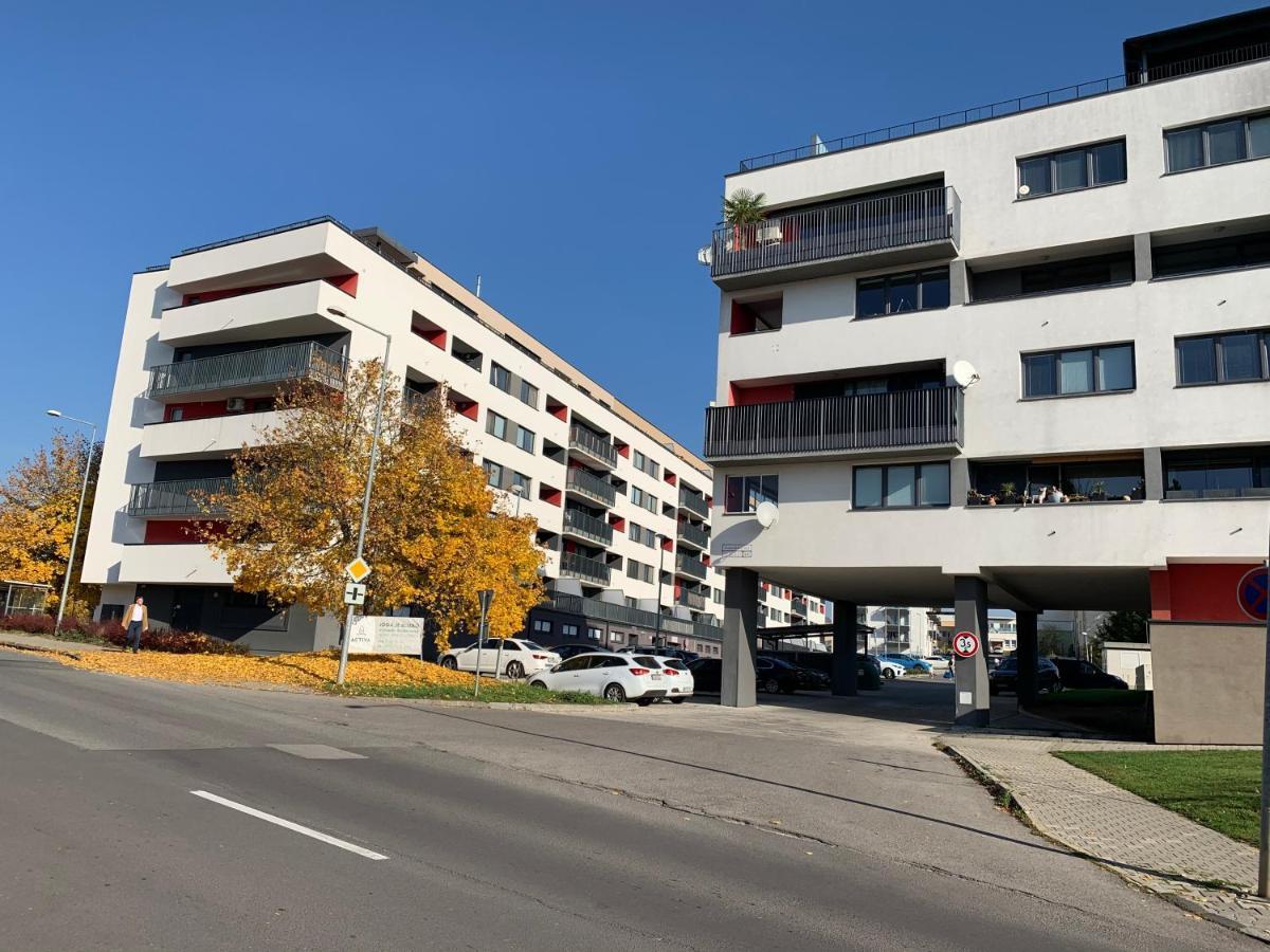 Bl - The Executive Suite, Boru - 24Hr Self Check-In, Free Private Parking, Balcony With Mountain View, 5 Minute Walk To City Center Μπάνσκα Μπίστριτσα Εξωτερικό φωτογραφία